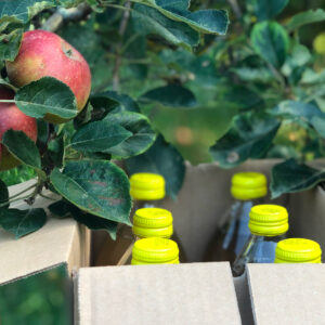 Boite de 6 bouteilles de 1L de jus de pomme bio